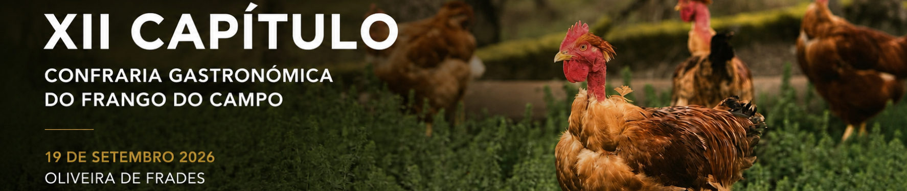 Banner da Confraria Gastronómica do Frango do Campo